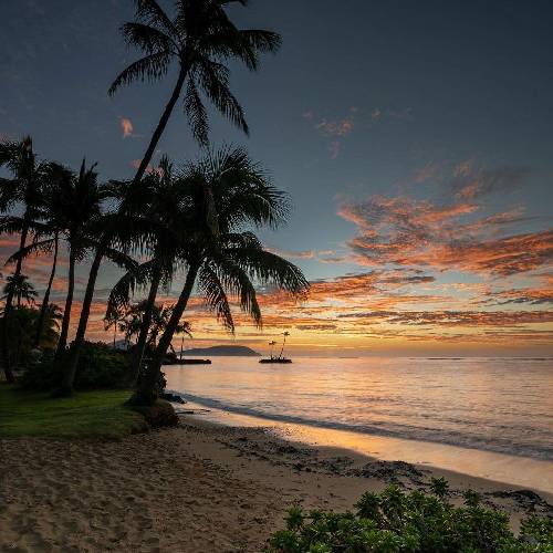 فحش میدم جوونیمو چون نکرد و میتونست تو اون موقع هم هستی